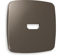 Лицевая панель Ambrella VOLT для HDMI розетки OMEGA OP6440