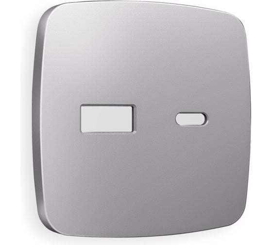 Лицевая панель Ambrella VOLT для розетки 2USB тип A+C OMEGA OP5110 1