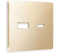 Лицевая панель Ambrella VOLT для розетки 2USB тип A+C ALFA AP6110