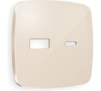 Лицевая панель Ambrella VOLT для розетки 2USB тип A+C OMEGA OP3110