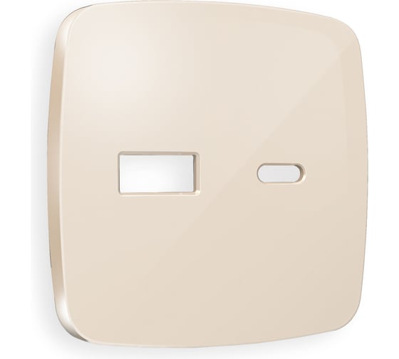 Лицевая панель Ambrella VOLT для розетки 2USB тип A+C OMEGA OP3110 1
