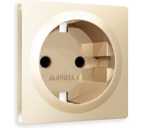 Лицевая панель Ambrella VOLT для электрической розетки с заземлением со шторками ALFA AP6070