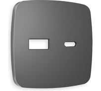 Лицевая панель Ambrella VOLT для розетки 2USB тип A+C OMEGA OP6610