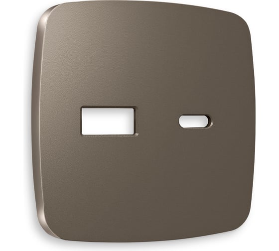Лицевая панель Ambrella VOLT для розетки 2USB тип A+C OMEGA OP6410 1