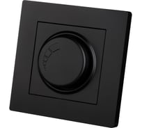 Светорегулятор TDM ELECTRIC 300 Вт черный Сенеж TDM SQ1816-0319