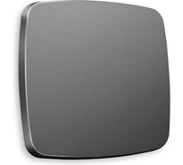 Лицевая панель Ambrella VOLT для 1-клавишных выключателей OMEGA OP6510