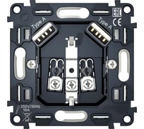 Механизм электрической розетки Ambrella VOLT 2USB A+A 18W быстрая зарядка с заземлением на винтовых зажимах 16A 250V VM155