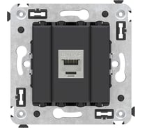 Компьютерная розетка DKC RJ 45, без шторки, в стену, кат.5e, одинарная, экранированная, Avanti, Черный матовый, 1 шт. 4412763
