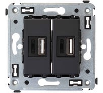 USB зарядное устройство DKC в стену, Avanti, Черный матовый, 2.1 А 1 ШТ 4412543