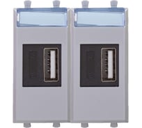 USB зарядное устройство DKC модульное, Avanti, Закаленная сталь, 2модуля, 2.1 А 1 ШТ 4404542