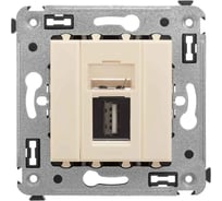 Розетка DKC USB 2.0 одинарная в стену, тип А А, Avanti, Ванильная дымка 1 ШТ 4405403