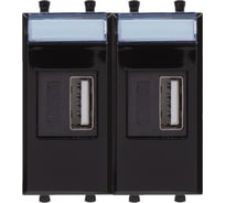 USB зарядное устройство DKC модульное, Avanti, Черный квадрат, 2 модуля, 2.1 А 1 ШТ 4402542
