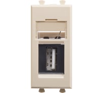 Розетка DKC USB 2.0 модульная, тип А А, Avanti, Ванильная дымка, 1 модуль 1 ШТ 4405401