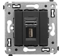 Розетка DKC USB 2.0 одинарная в стену, тип А А, Avanti, Черный матовый 1 ШТ 4412403