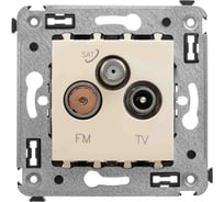 Розетка DKC TV FM SAT в стену, Avanti, Ванильная дымка 4405533