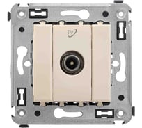 Розетка DKC TV проходная в стену, Avanti, Ванильная дымка 4405513