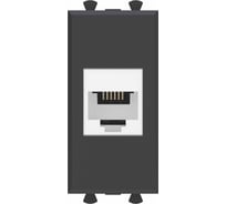 Телефонная розетка DKC RJ 12 без шторки модульная, Avanti, Черный матовый, 1 модуль 4412611