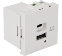 Модуль LANMASTER USB-зарядки, 1 порт USB-C и 1 порт USB-A, 4.2A/5V, 45x45, белый LAN-EZ45x45-2UCA/4.2-WH