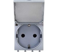 Розетка DKC с крышкой, модульная, 2P E, с защитными шторками, Avanti, Закаленная сталь, 2 модуля, 1 шт. 4404012