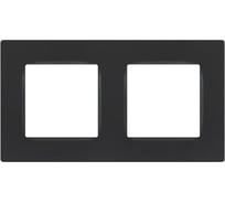 Рамка для розеток и выключателей ЭРА Серия 12 12520212 на 2 поста, Классик, графит Б0067759
