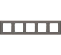 Рамка для розеток и выключателей ЭРА серия 12 12520516 на 5 постов, Классик, титан Б0067796