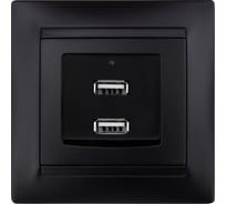 Розетка TDM ELECTRIC 2USB порт 2,1А 5В графит Лама TDM SQ1815-0641