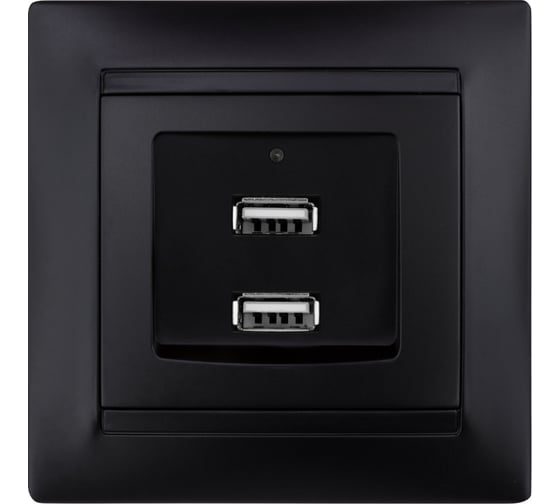 Розетка TDM ELECTRIC 2USB порт 2,1А 5В графит Лама TDM SQ1815-0641