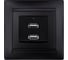 Розетка TDM ELECTRIC 2USB порт 2,1А 5В графит Лама TDM SQ1815-0641 1