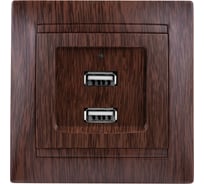Розетка TDM ELECTRIC 2USB порт 2,1А 5В венге Лама TDM SQ1815-0441