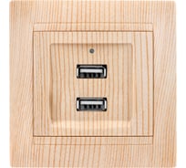Розетка TDM ELECTRIC 2USB порт 2,1А 5В сосна Лама TDM SQ1815-0341
