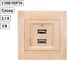 Розетка TDM ELECTRIC 2USB порт 2,1А 5В сосна Лама TDM SQ1815-0341 2