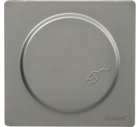 Розетка Lezard LETO с заземлением, с крышкой, ПБТ, платина 752-3500-123B