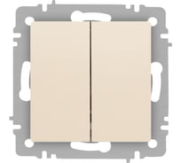 Выключатель Intro Accent 610402 двойной, 10А250В, IP20, СУ, AL/CU, слоновая кость Б0063482