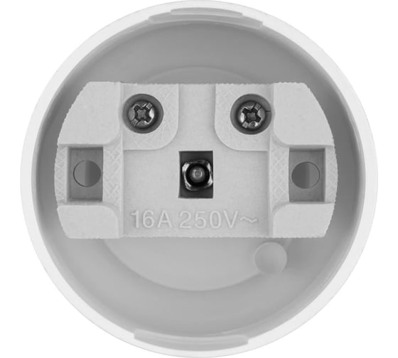 Розетка TDM ELECTRIC 2П 16А 250B о/у белая Ретро (карболит) TDM (упак 12 шт) SQ1806-0602