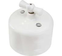 Выключатель 1-клавишный проходной Electraline R, керамика, цвет белый R1-211-01