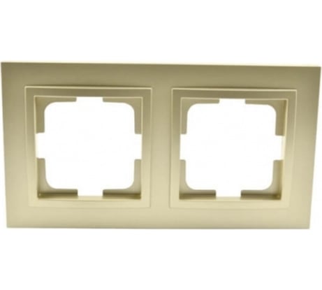 2-местная рамка MONO ELECTRIC DESPINA титан 102-220000-161