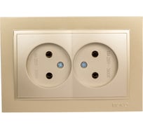 2-местная розетка MONO ELECTRIC без заземления DESPINA титан 102-222205-121