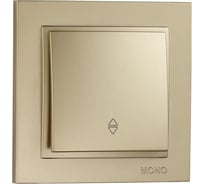 Одноклавишный проходной выключатель MONO ELECTRIC DESPINA титан 102-222225-109