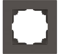Рамка для розеток и выключателей Intro Accent 650109 на 1 пост, СУ, титан Б0063769
