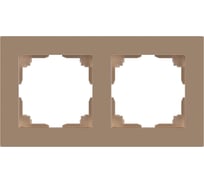 Рамка для розеток и выключателей Intro Accent 650204 на 2 поста, СУ, шампань Б0063758