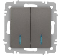 Выключатель Intro Accent 610509 двойной с подсветкой, 10А250В, IP20, СУ, AL/CU, титан Б0063525