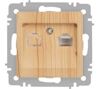Розетка Intro Accent 6-30311 информационная RJ45, IP20, СУ, сосна Б0063644