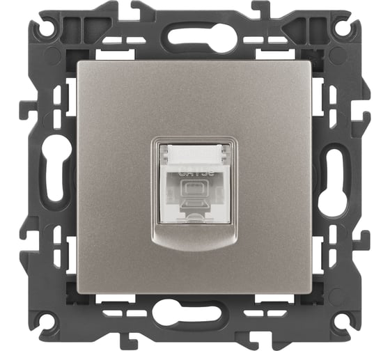Розетка ЭРА Elegance 14-3107-16 RJ45, титан Б0065764 1