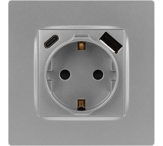 Розетка ЭРА Серия 12 12-4108-03 2PE 16A250В со шторками с USB typeAC 5В3А алюминий Б0067716