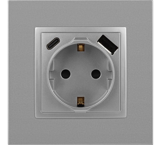 Розетка ЭРА Elegance 14-4108-03 2PE 16A250В со шторками с USB typeAC 5В3А алюминий Б0067741