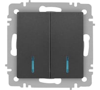 Выключатель Intro Accent 610507 двойной с подсветкой, 10А250В, IP20, СУ, AL/CU, графит Б0063521