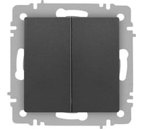 Переключатель Intro Accent 610707 двойной, 10А250В, IP20, СУ, AL/CU, графит Б0063568