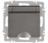 Розетка Intro Accent 620309 2PE Schuko с крышкой, 16А250В, IP20, скрытой установки, AL/CU, титан Б0063471