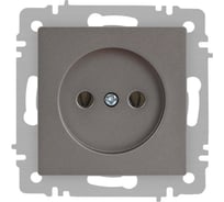 Розетка Intro Accent 620109 2P, 16А250В, IP20, скрытой установки, титан Б0063673