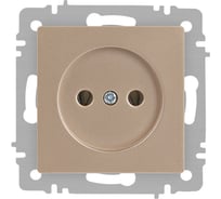 Розетка Intro Accent 620104 2P, 16А250В, IP20, скрытой установки, шампань Б0063663